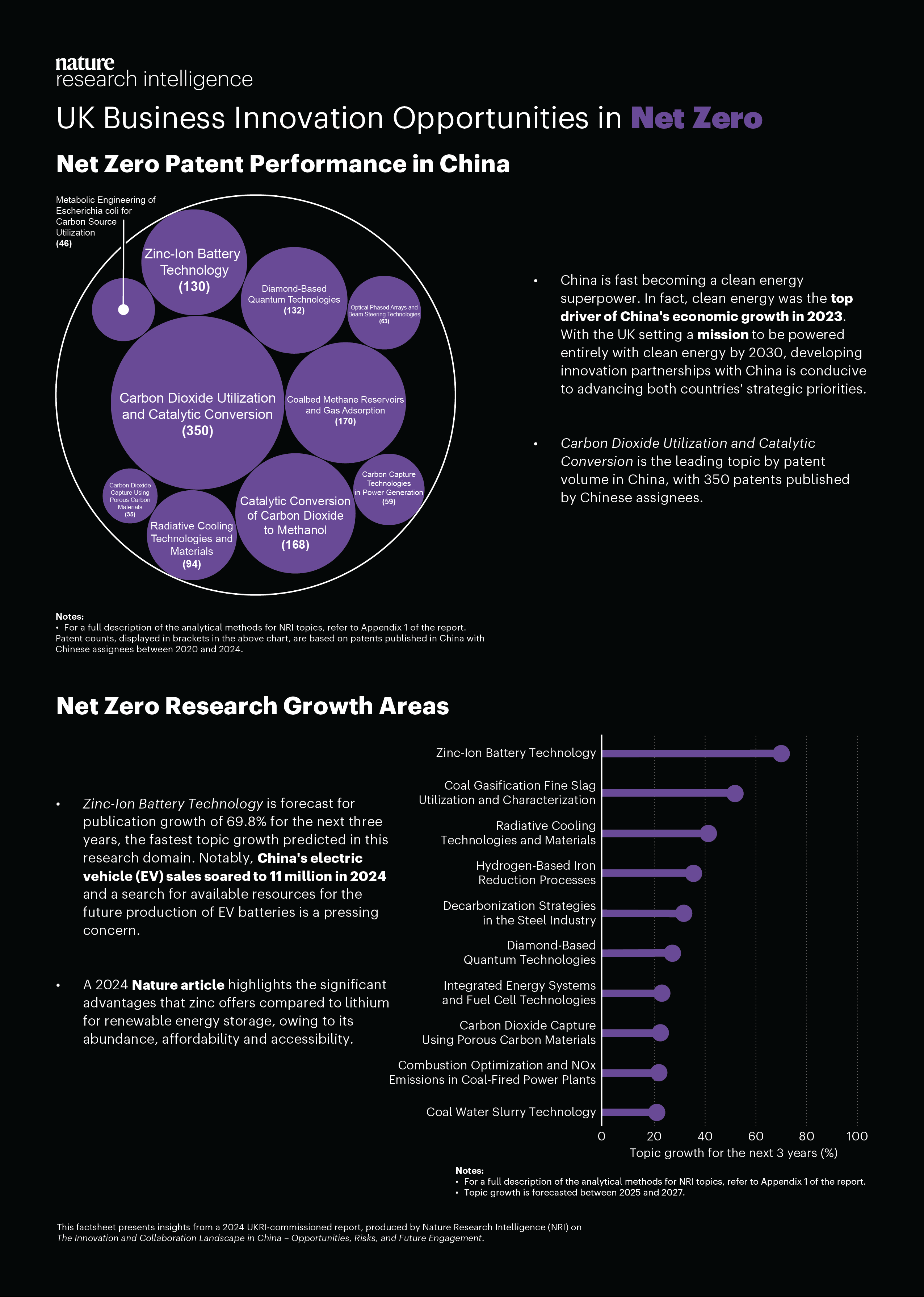 infosheet detailing China's net zero patent performance
